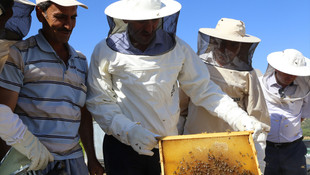 Adana'da bal üreticileri umutlu