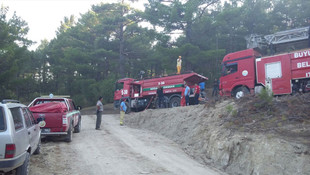 Adana'da orman yangını