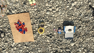 Adana'da terör operasyonu