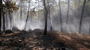Alanya'daki orman yangını