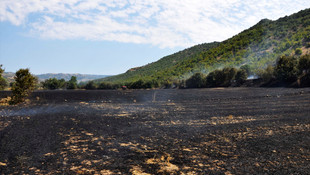 Amasya'da orman yangını