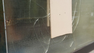 Avusturya'da Türk derneğine saldırı