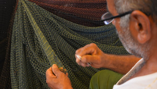 Balıkçılar palamutta bolluk hamside düşüş bekliyor