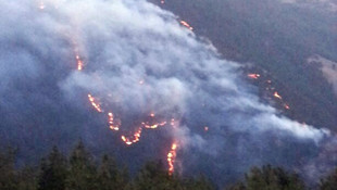 Balıkesir'de orman yangını