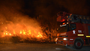Balıkesir'de sazlık yangını