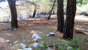 Balıkesir'deki orman yangını