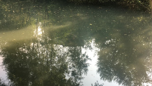 Bartın Irmağın'da kirlilik