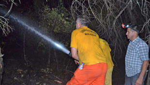 Bilecik'te orman yangını