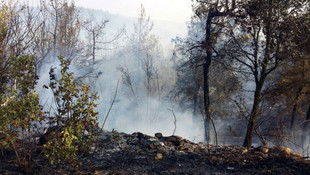 Bilecik'teki orman yangını