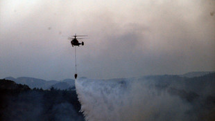 Bilecik'teki orman yangını
