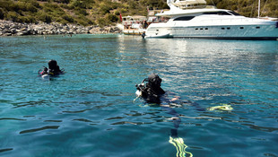 Bodrum'da deniz kaplumbağaları incelemeye alındı
