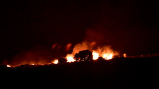 Bodrum'da makilik yangını