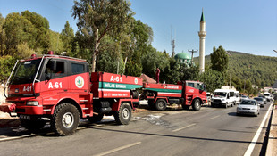 Bodrum'da orman yangını