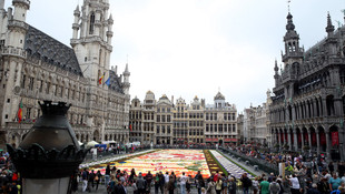 Brüksel'de çiçek halı