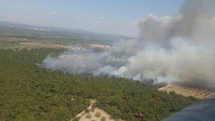 Çanakkale'de orman yangını
