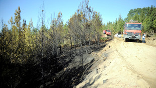 Çanakkale'deki orman yangını