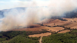Çanakkalede orman yangını çıktı!