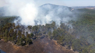 Çanakkale'de orman yangını