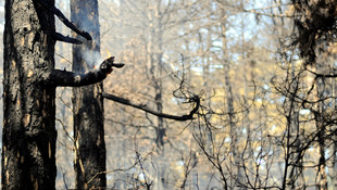 Çanakkalede meydana gelen yangın kontrol altına alındı