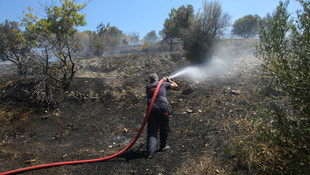 Çeşme'de orman yangını
