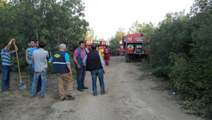 Çorum'da orman yangını