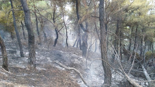 Çorum'daki orman yangını