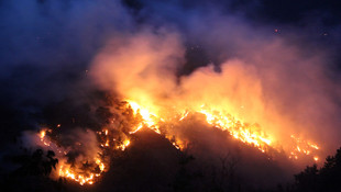 Çorum'daki orman yangını