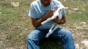 Darbeden haberi yokken şehitlik namazı kıldı, 4 saat sonra şehit oldu