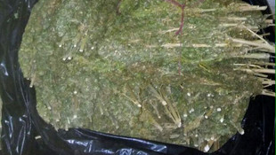 Diyarbakır'da uyuşturucu operasyonları