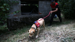 Düzce'deki arazi anlaşmazlığı kavgası