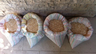 Hatay'da uyuşturucu operasyonları