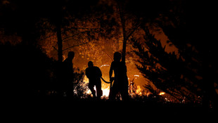 İzmir'de orman yangını