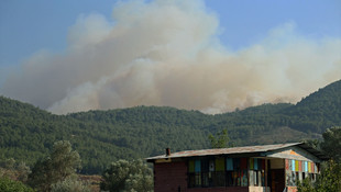 İzmir'de orman yangını