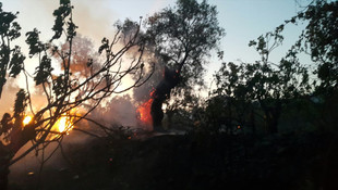 İzmir'de tarihi Birgi Mahallesi'nde yangın