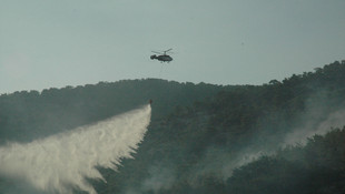 GÜNCELLEME - İzmir'deki orman yangını
