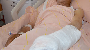 Kars'ta ayı saldırısı