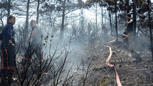 Kartal'da orman yangını