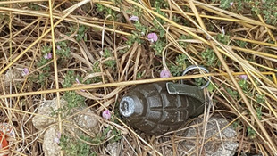 Kiraz bahçesinde 4 el bombası bulundu