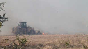 Kırklareli'de yangın