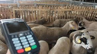 Krediyle kurban kesilir mi?