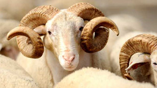 Kurban Bayramı tatili kaç gün olacak ?