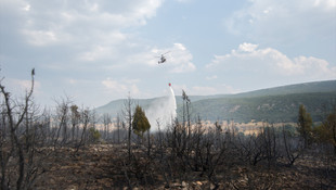 Kütahya'da orman yangını