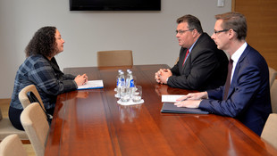 Litvanya Dışişleri Bakanı Linkevicius: