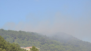 Maltepe'de orman yangını