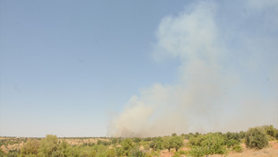 GÜNCELLEME - Mardin'de yola döşenmiş patlayıcı imha edildi