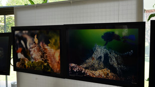 Marmara Depremi'nin 17. yılı