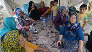 Mevsimlik tarım işçileri fındıktan umduğunu bulamadı