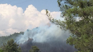 Muğla'da orman yangını