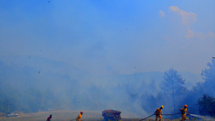 GÜNCELLEME - Muğla'da orman yangını