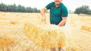 Muhtar devlet tarafından ödenecek parayı istemedi